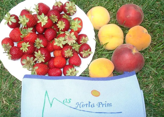 Mas Horta Prim Séjour à la campagne Sant Pere Pescador